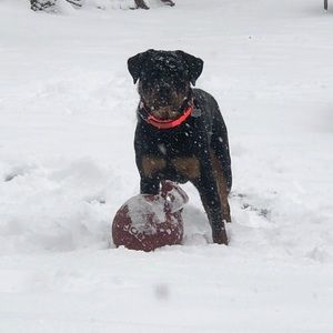 Meet your Posher, Vicki